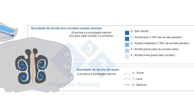 Método da Farmacopeia Europeia para avaliar as lesões dos cornetos.