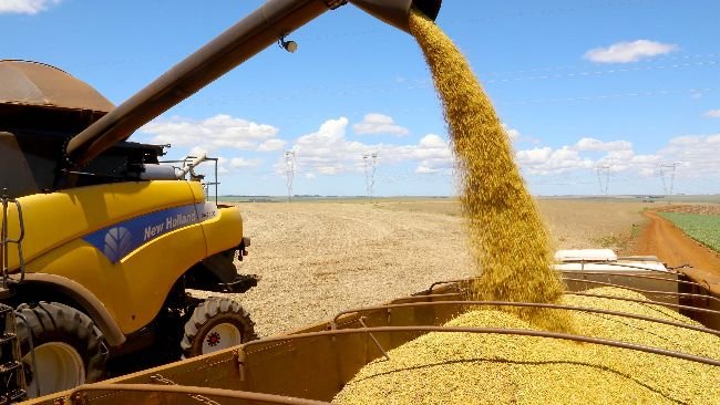 Soja - colheita. Fotos:Jaelson Lucas / Arquivo AEN.