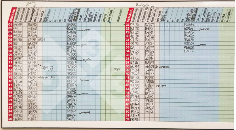 Foto 3: Os principais indicadores de produ&ccedil;&atilde;o s&atilde;o vis&iacute;veis na cantina-sala de forma&ccedil;&atilde;o e actualizados para envolver a equipa nos resultados