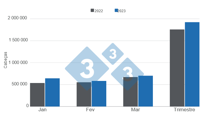 Gráfico 1. Abate de suínos no primeiro trimestre de 2023 versus 2022. Elaborado pelo Departamento de Economia e Mercados com dados da Secretaria de Agricultura, Pecuária e Pescas do Ministério da Economia da Argentina. 
