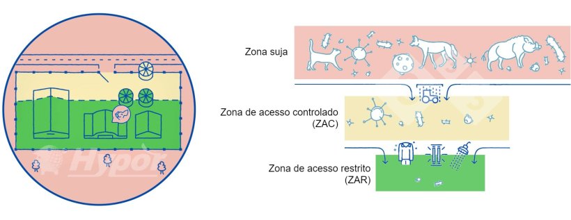 Diferentes zonas sanit&aacute;rias numa explora&ccedil;&atilde;o
