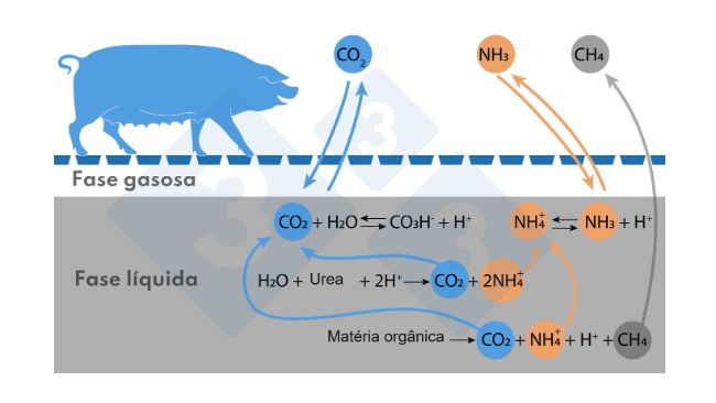 Figura. Esquema simplificado das reac&ccedil;&otilde;es que afectam as emiss&otilde;es de NH3 e CH4
