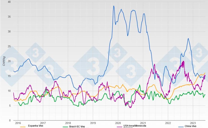 Evolução das cotações do porco em peso vivo e carcaça em CNY/kg nos principais fornecedores de carne de porco da China
