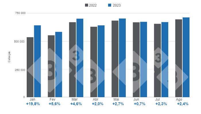 Gráfico 1. Abate mensal de suínos no período de Janeiro a Agosto, variações em relação a 2022. Elaborado pelo Departamento de Economia e Inteligência de Mercados de 333 Latinoamérica com dados da Secretaria de Agricultura, Ganadería e Pesca do Ministério de Economia da Argentina. Elaborado pelo Departamento de Economia e Inteligência de Mercados de 333 Latinoamérica com dados da Secretaria de Agricultura, Ganadería e Pesca do Ministério de Economia da Argentina. 