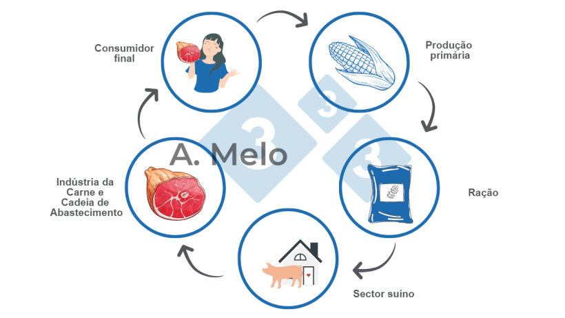 Gr&aacute;fico 1: Gr&aacute;fico da cadeia alimentar desde a produ&ccedil;&atilde;o prim&aacute;ria at&eacute; &agrave; mesa do consumidor final.
