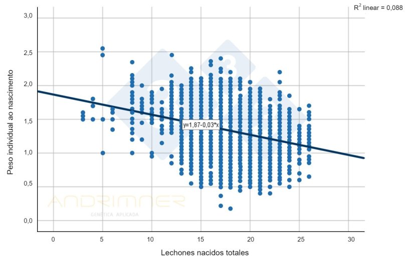 Gr&aacute;fico 1. Curva de regress&atilde;o do total de nascimentos e do peso individual &agrave; nascen&ccedil;a. Fonte: Javier Lorente. Explora&ccedil;&atilde;o comercial, 3483 leit&otilde;es pesados individualmente em 2021.