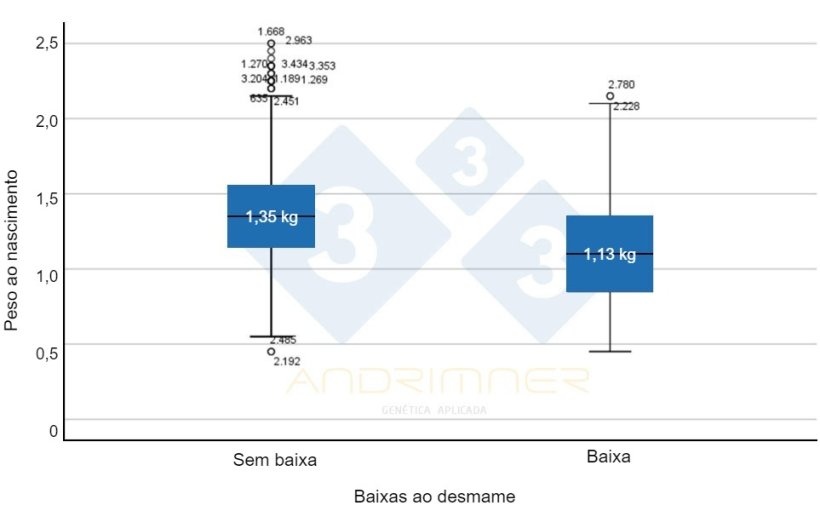 Gr&aacute;fico 4. Peso m&eacute;dio ao nascimento dos sobreviventes (&ldquo;sem baixas&rdquo;) e peso m&eacute;dio ao nascimento das baixas. Diferen&ccedil;as altamente significativas entre os dois grupos (F=155,713; p<0,001) Fonte: Javier Lorente. Explora&ccedil;&atilde;o comercial, 3483 leit&otilde;es pesados individualmente em 2021.