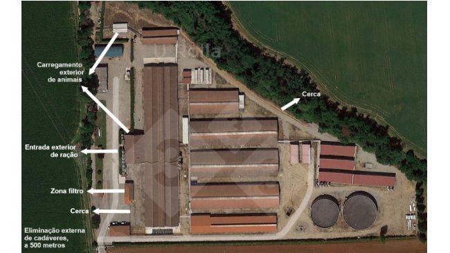 Fig. 1 Vista a&eacute;rea da explora&ccedil;&atilde;o de reprodutoras.
