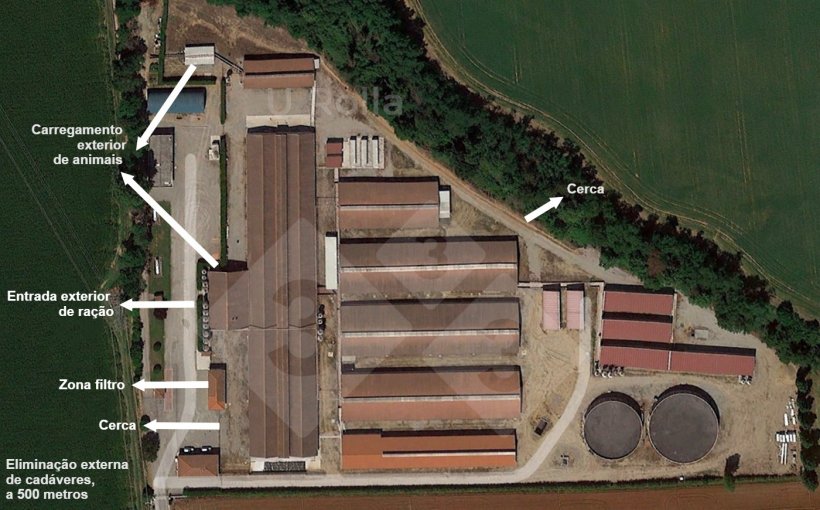 Fig. 1 Vista aérea da exploração de reprodutoras.