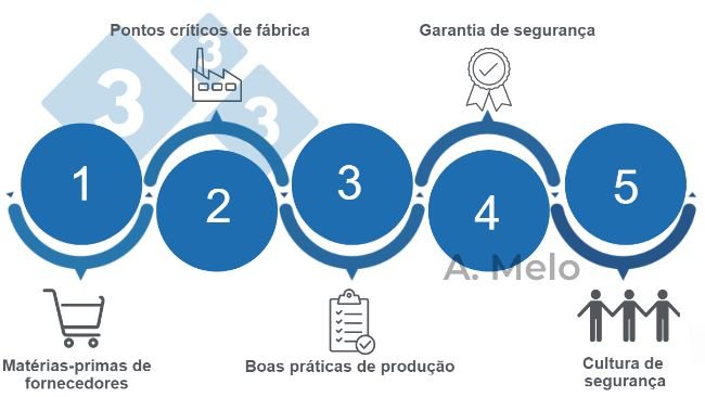 Figura 1. As cinco chaves para alcançar uma segurança alimentar equilibrada.