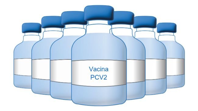 Vacuna PCV2