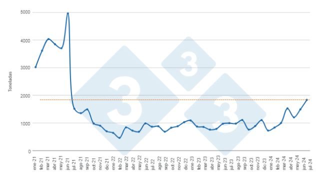 Gráfico 1. Evolución de las exportaciones mensuales de carne de cerdo en el período enero de 2021 a julio de 2024. Elaborado por el Departamento de Economía e Inteligencia de Mercados de 333 Latinoamérica con datos de la Secretaría de Agricultura, Ganadería y Pesca del Ministerio de Economía de Argentina. 