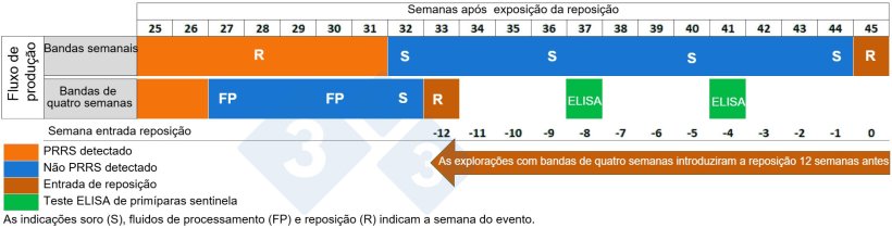 Figura 2. Compara&ccedil;&atilde;o da entrada da reposi&ccedil;&atilde;o entre explora&ccedil;&otilde;es com bandas semanais e bandas de quatro semanas.
