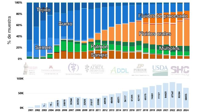 Figura 1. N&uacute;mero de casos desagregados por percentagem de amostras analisadas para PRRSV mediante RT-PCR ao longo do tempo nos E.U.A. (2001-2024). Imagem extra&iacute;da de la p&aacute;gina web del Swine Disease Reporting System (SDRS, https://fieldepi.org/domestic-swine-disease-monitoring-program/)
