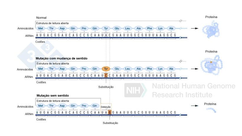 Figura 4. Utiliza&ccedil;&atilde;o de editores de bases para gerar muta&ccedil;&otilde;es pontuais no genoma.