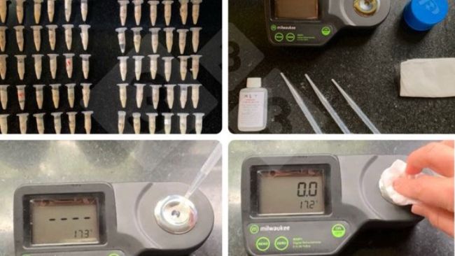 Foto 1. Uso de refract&oacute;metros digitais para a medi&ccedil;&atilde;o indirecta da concentra&ccedil;&atilde;o de imunoglobulinas