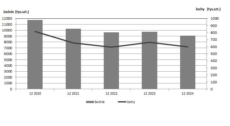 Gr&aacute;fico 1. Popula&ccedil;&atilde;o de su&iacute;nos e reprodutoras na Pol&oacute;nia desde o final de 2020 at&eacute; ao final de 2024. Fonte: Gabinete Central de Estat&iacute;stica, Pol&oacute;nia.
