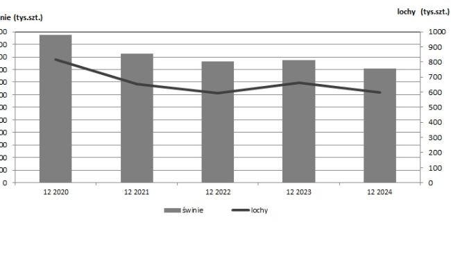 Gráfico 1. População de suínos e reprodutoras na Polónia desde o final de 2020 até ao final de 2024. Fonte: Gabinete Central de Estatística, Polónia.