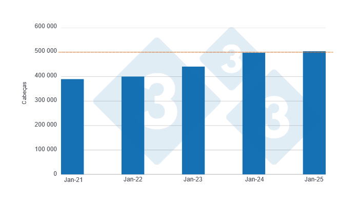 Gr&aacute;fico 1: Abate de su&iacute;nos em Janeiro nos &uacute;ltimos cinco anos. Elaborado pelo Departamento de Economia e Sustentabilidade da 333 Am&eacute;rica Latina com dados do DANE.

