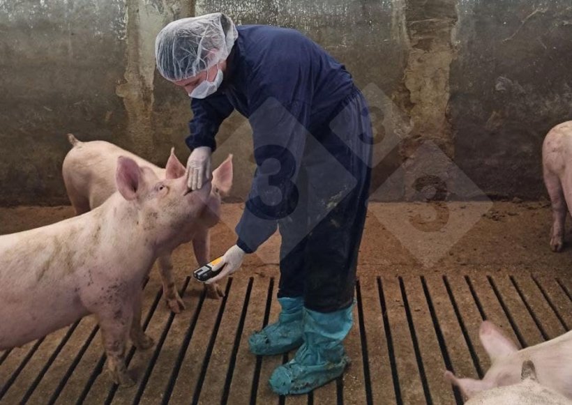 O controlo das concentra&ccedil;&otilde;es de g&aacute;s deve ser efectuado pelo menos uma vez por esta&ccedil;&atilde;o pelo menos em tr&ecirc;s parques
