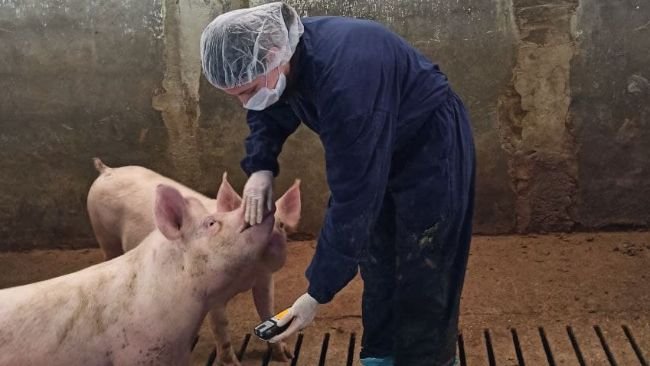 O controlo das concentrações de gás deve ser efectuado pelo menos uma vez por estação pelo menos em três parques