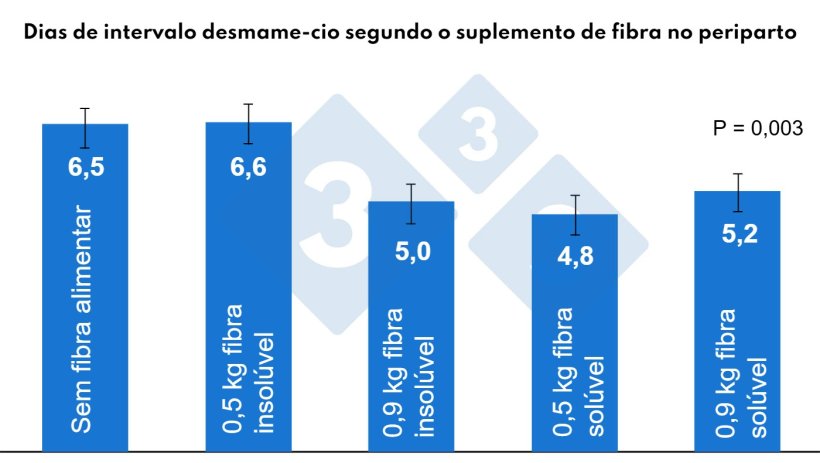 Figura 4. Efeitos da fibra durante o per&iacute;odo periparto sobre o intervalo desmame-estro. Adaptado de Mart&iacute;nez, 2022