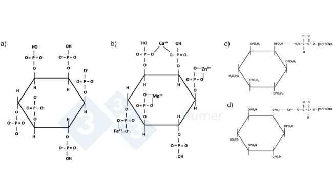 Figura 1. Estrutura do &aacute;cido f&iacute;tico a pH neutro (a); estrutura do &aacute;cido f&iacute;tico quelado a pH neutro com cati&otilde;es (b); estrutura do &aacute;cido f&iacute;tico quelado com prote&iacute;nas a pH &aacute;cido (c) e neutro (d). Adaptado de Humer et al. (2014).