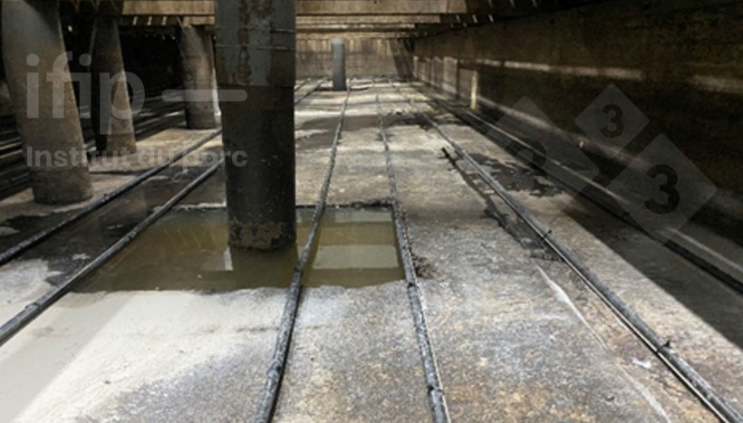 Lisiotermia em fundo de fossa em condições experimentais. Fonte: IFIP.