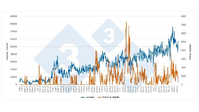 Evolução semanal das importações espanholas de leitões e porcos de engorda provenientes dos Países Baixos (Janeiro de 2016 a Junho de 2025). Fonte: Redacção 333 com base em dados da RVO.