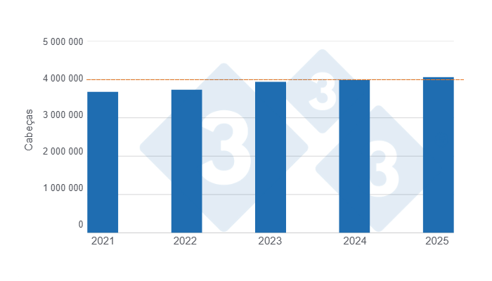 Gr&aacute;fico 1: Abate de su&iacute;nos no primeiro semestre dos &uacute;ltimos cinco anos. 
Elaborado por Departamento de Economia e Sustentabilidade de 333 Am&eacute;rica Latina com dados da Secretar&iacute;a de Agricultura, Ganader&iacute;a y Pesca del Ministerio de Econom&iacute;a de Argentina