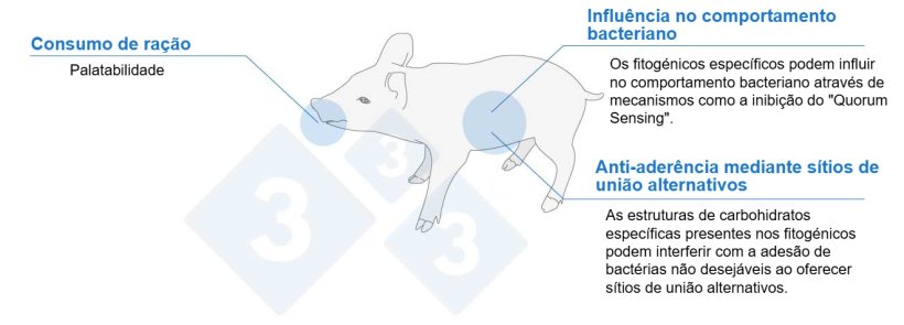 Figura 1. Mecanismos de a&ccedil;&atilde;o de diferentes fitog&eacute;nicos