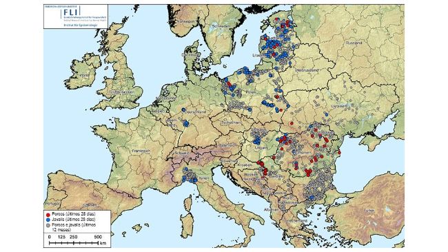 Figura 1. Focos de Peste Su&iacute;na Africana (gen&oacute;tipo II) na Alb&acirc;nia, Pa&iacute;ses B&aacute;lticos, B&oacute;snia e Herzegovina, Bulg&aacute;ria, Alemanha, Gr&eacute;cia, It&aacute;lia, Kosovo, Cro&aacute;cia, Mold&aacute;via, Montenegro, Maced&oacute;nia do Norte, Pol&oacute;nia, Rom&eacute;nia, Su&eacute;cia, S&eacute;rvia, Eslov&aacute;quia, Rep&uacute;blica Checa, Ucr&acirc;nia e Hungria (20/08/2024 a 20/08/2025). Fonte dos dados: ADIS, TSN (em 20/08/2025 - 08:40)