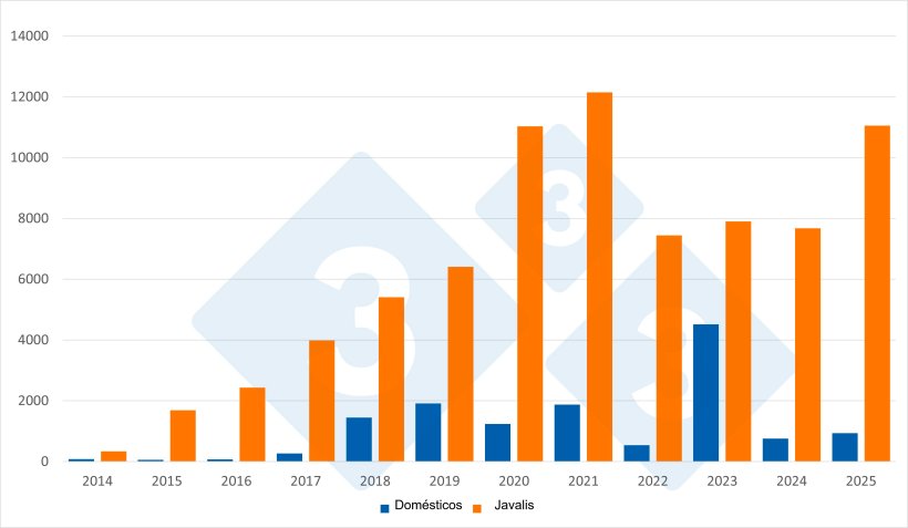 N&uacute;mero total de focos de PSA em javalis e porcos dom&eacute;sticos na Europa (com excep&ccedil;&atilde;o da R&uacute;ssia). Fonte: 333 a partir de dados do ADIS.
