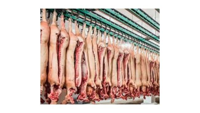 экспорт свинины