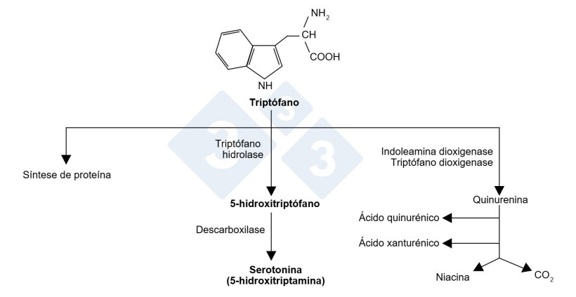 Figura 1. Mol&eacute;cula de tript&oacute;fano e as suas vias
