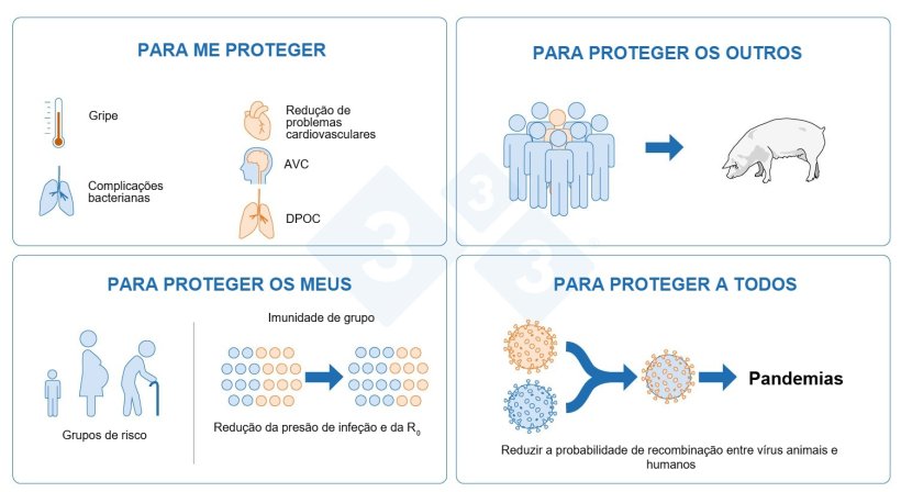 Figura 4. Porque nos devemos vacinar contra a gripe?