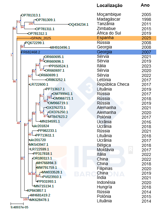 Relación filogenética de la cepa Sp25