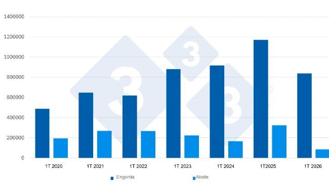 Gráfico 1. Evolução das importações espanholas de suínos destinados à engorda e ao abate durante o primeiro trimestre. Fonte: 333 com base em dados do MAPA.