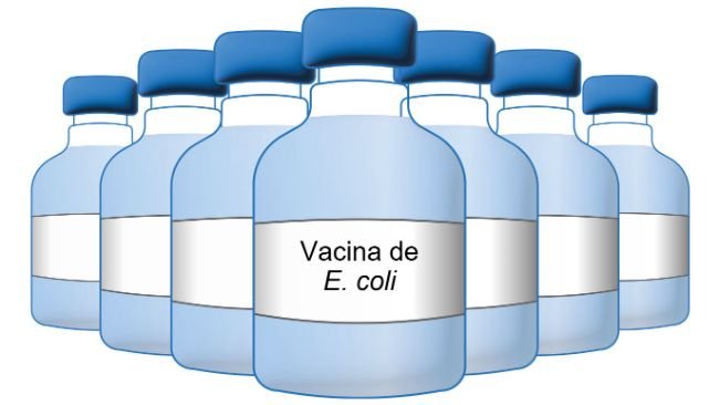 Vacuna de E coli