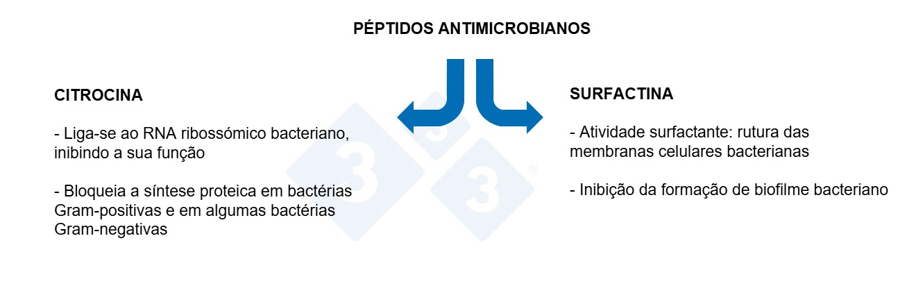 Gráfico 3: Propriedades dos péptidos antimicrobianos