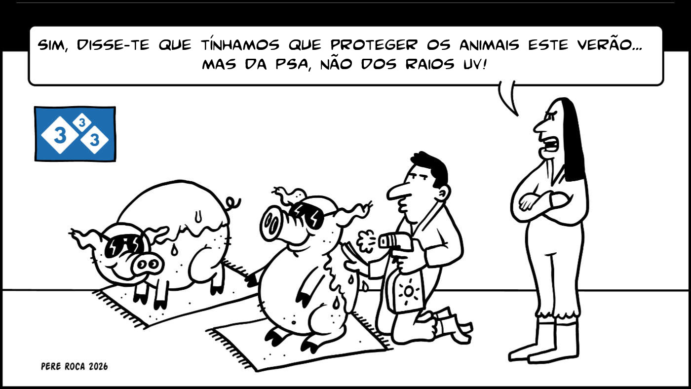 Proteger os porcos