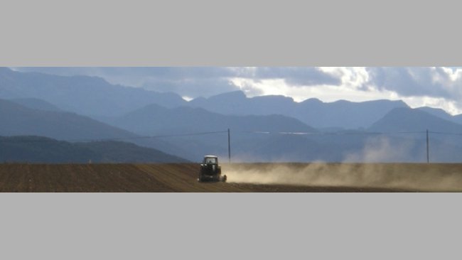 UE: previsión de la producción de cereales hasta 2013