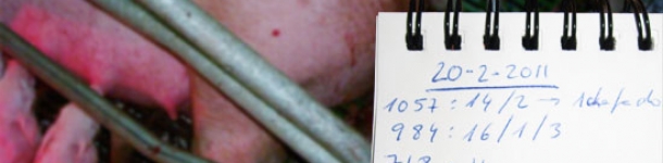 Monitorizaci&oacute;n de partos