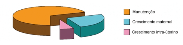 Necessidades em energia na gesta&ccedil;&atilde;o para manuten&ccedil;&atilde;o, crescimento maternal e crescimento intra-uterino.