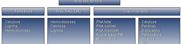 Resumo das diferentes t&eacute;cnicas anal&iacute;ticas e frac&ccedil;&otilde;es da fibra