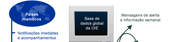 base de dados da OIE