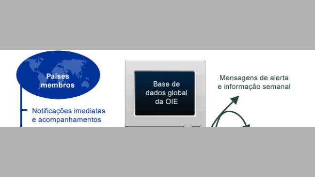 base de dados da OIE