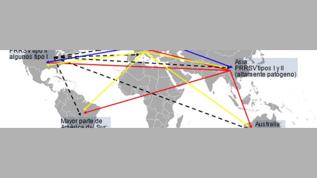Distribución mundial del PRRSV y transmisión intercontinental hipotética