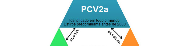 Principales genotipos de PCV2 y su relaci&oacute;n en base a los genes de la c&aacute;pside.