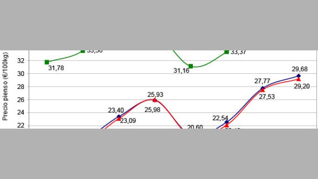 Evolución del precio del pienso de porcino